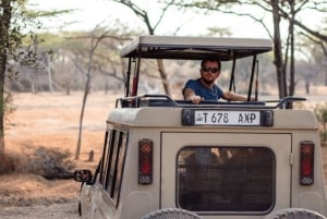 Dar es Salaam: 5-daagse safari-escapade in het zuiden