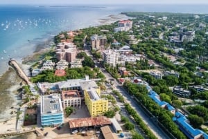 Dar es Salaam: 5-daagse safari-escapade in het zuiden