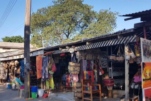 ダルエスサラーム：専用車による6時間の市内観光ツアー