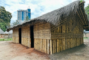 ダルエスサラーム：専用車による6時間の市内観光ツアー