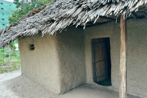 ダルエスサラーム：専用車による6時間の市内観光ツアー