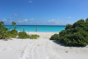 ダルエスサラーム：専用車による6時間の市内観光ツアー