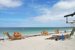 ダルエスサラーム：専用車による6時間の市内観光ツアー