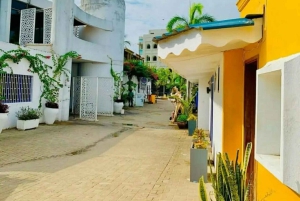 ダルエスサラーム：専用車による6時間の市内観光ツアー