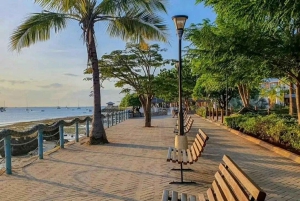 ダルエスサラーム：専用車による6時間の市内観光ツアー