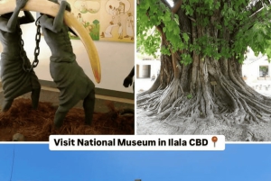 ダルエスサラーム：専用車による6時間の市内観光ツアー