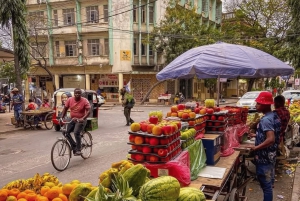 ダルエスサラーム：専用車による6時間の市内観光ツアー