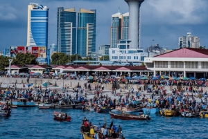 ダルエスサラーム：専用車による6時間の市内観光ツアー