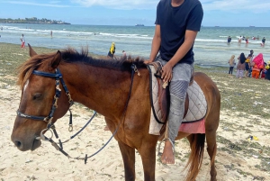 ダルエスサラーム：専用車による6時間の市内観光ツアー