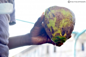 ダルエスサラーム：専用車による6時間の市内観光ツアー