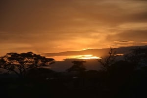 Dar es Salaam: 7-Day Southern Tanzania Safari Tour