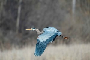 Dar es Salaam: 7-Day Southern Tanzania Safari Tour