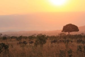 Dar es Salaam: 7-Day Southern Tanzania Safari Tour