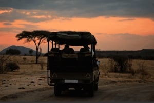 ダルエスサラーム発：食事付き 8日間 ニエレレ＆ルアハ サファリ