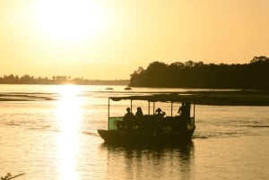 ダルエスサラーム発：食事付き 8日間 ニエレレ＆ルアハ サファリ