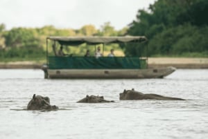 ダルエスサラーム発：食事付き 8日間 ニエレレ＆ルアハ サファリ