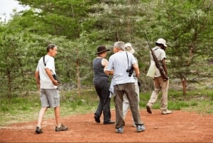 ダルエスサラーム発：食事付き 8日間 ニエレレ＆ルアハ サファリ