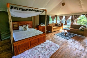 Dar es Salaam: 8-dages safari i det sydlige Tanzania og Mafia Island