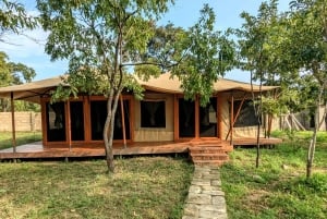 Dar es Salaam: 8-dages safari i det sydlige Tanzania og Mafia Island