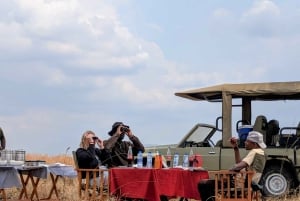 Dar es Salaam: 8-dages safari i det sydlige Tanzania og Mafia Island