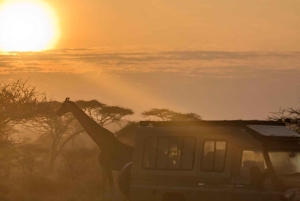 Dar es Salaam: 8-dages safari i det sydlige Tanzania og Mafia Island