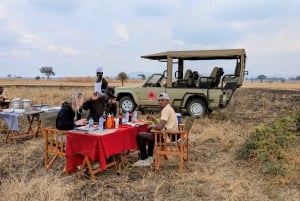 Dar es Salaam: 8-dages safari i det sydlige Tanzania og Mafia Island