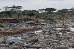 Dar es Salaam: 8-dages safari i det sydlige Tanzania og Mafia Island