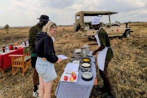 Dar es Salaam: 8-dages safari i det sydlige Tanzania og Mafia Island