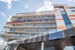 Dar es Salaam: wycieczka z przewodnikiem dla kolekcjonerów sztuki