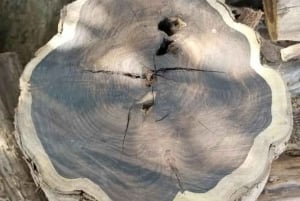 Dar es Salaam: Visita al mercado de arte y artesanía y compras