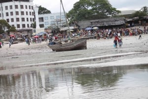 Dar es Salaam og Bagamoyo: 2-dages guidet tur med frokost