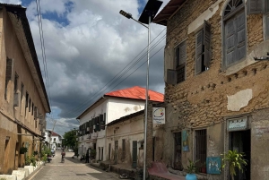 Dar es Salaam : Excursion d'une journée à Bagamoyo, ville d'art, d'histoire et de culture
