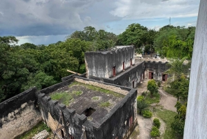 Dar es Salaam : Excursion d'une journée à Bagamoyo, ville d'art, d'histoire et de culture