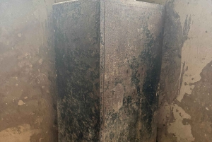 Dar es Salaam : Excursion d'une journée à Bagamoyo, ville d'art, d'histoire et de culture