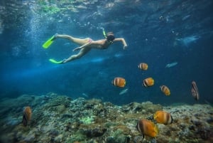 ダルエスサラーム：ボンゴヨ島シュノーケリングアドベンチャーをお楽しみください