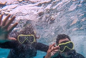 ダルエスサラーム：ボンゴヨ島シュノーケリングアドベンチャーをお楽しみください