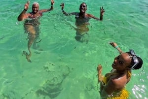 ダルエスサラーム：ボンゴヨ島シュノーケリングアドベンチャーをお楽しみください