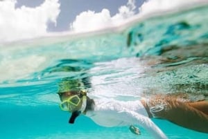 ダルエスサラーム：ボンゴヨ島シュノーケリングアドベンチャーをお楽しみください