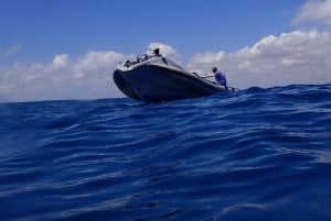 ダルエスサラーム：ボンゴヨ島シュノーケリングアドベンチャーをお楽しみください