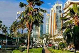 Dar es Salaam: City Guided Walking Tour