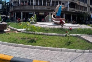 Dar es Salaam : visite guidée de la ville avec guide et chauffeur
