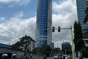Dar es Salaam : visite guidée de la ville avec guide et chauffeur