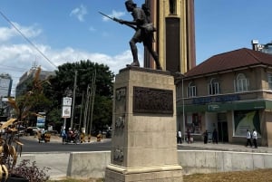 Dar es Salaam : visite guidée de la ville avec guide et chauffeur