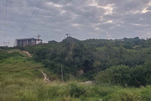 Zanzibar: Jozani-skoven, sommerfuglecenter og Mtende-stranden