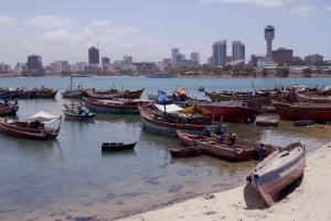 Dar es Salaam: giro della città