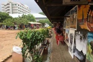 Dar es Salaam: Byrundtur