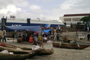 Dar es Salaam: Byrundtur