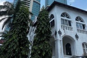 Dar es Salaam : visite citadine en van