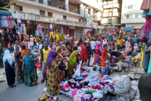 Dar es Salaam : visite citadine en van