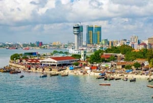 Dar es Salaam : visite citadine en van
